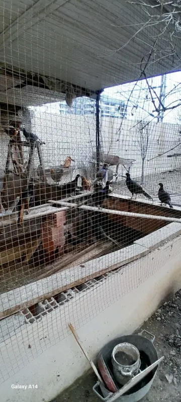 Satılır 8 otaqlı həyət evi 288 m²