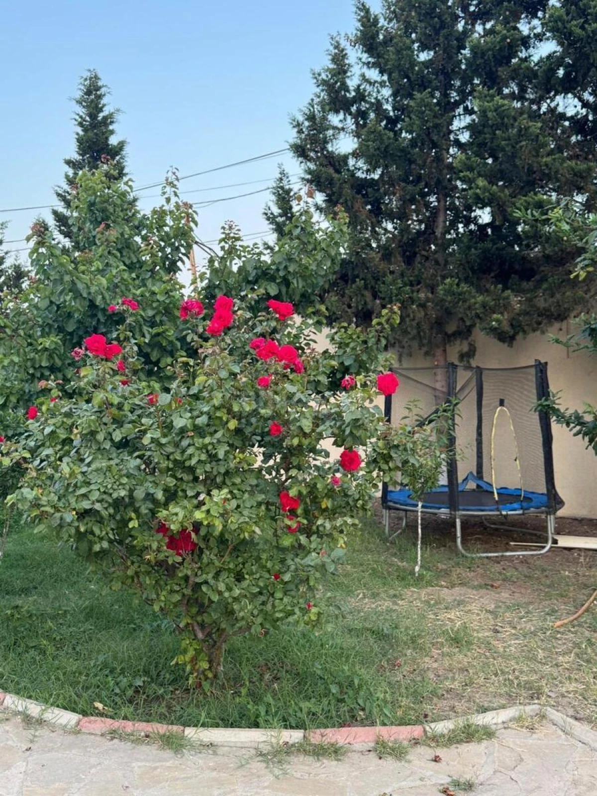 Kirayə verilir 5 otaqlı həyət evi 350 m²