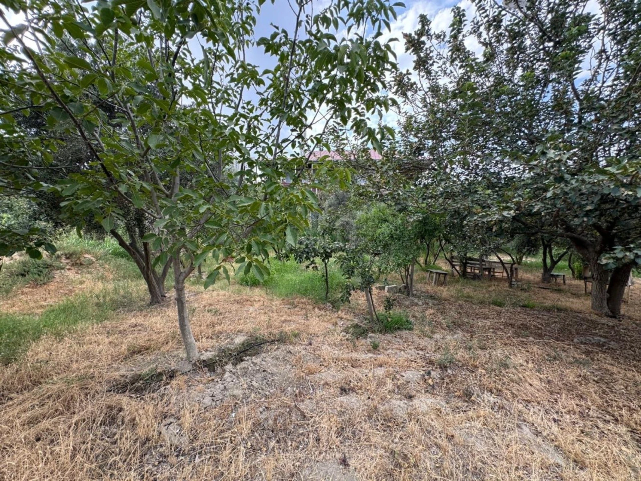 Satılır torpaq sahəsi 34 m²