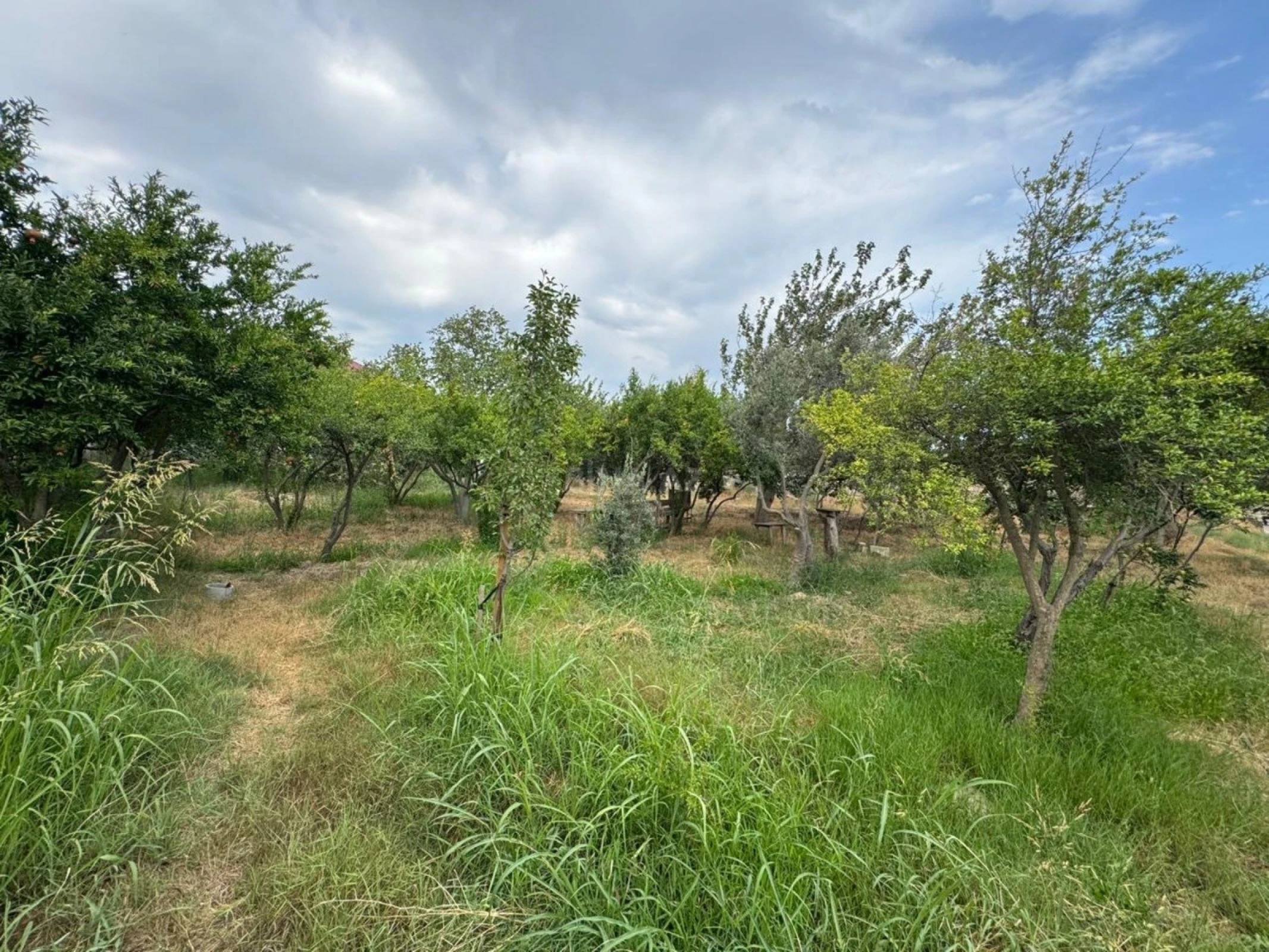 Satılır torpaq sahəsi 34 m²