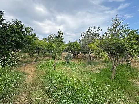 Satılır torpaq sahəsi 34 m²