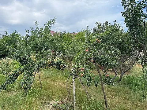 Satılır torpaq sahəsi 34 m²