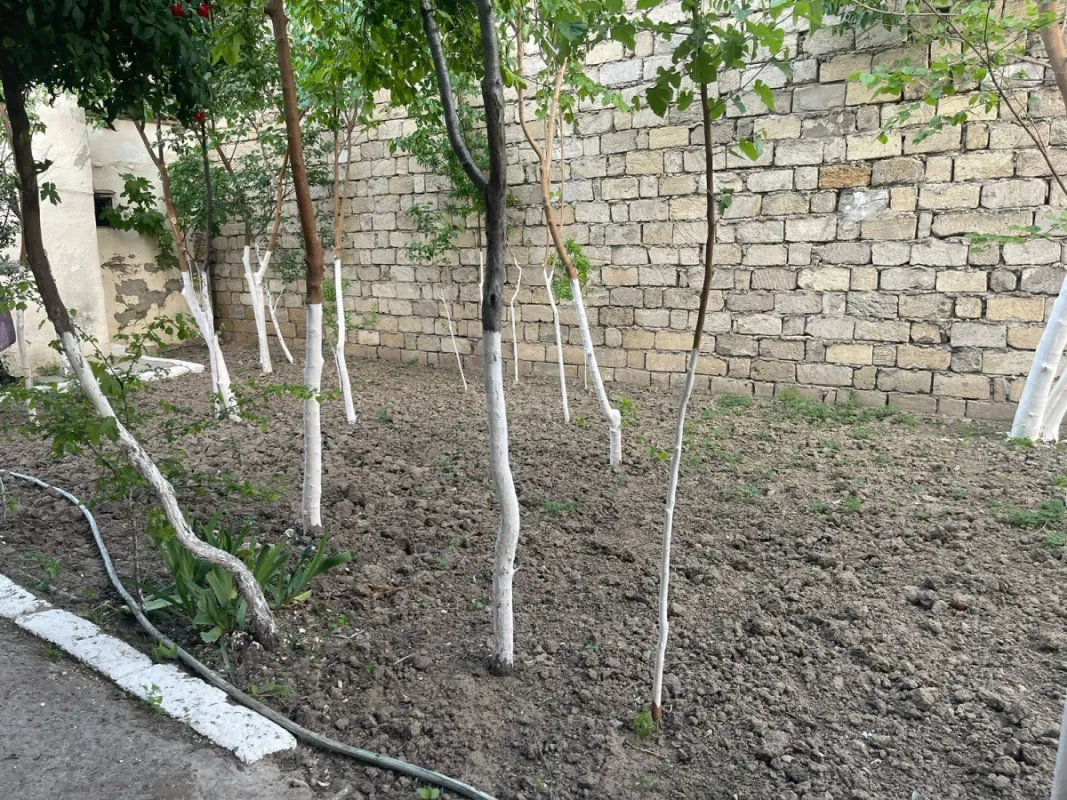 Kirayə verilir 6 otaqlı həyət evi 187 m²