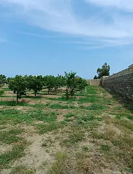 Satılır torpaq sahəsi 50 m²