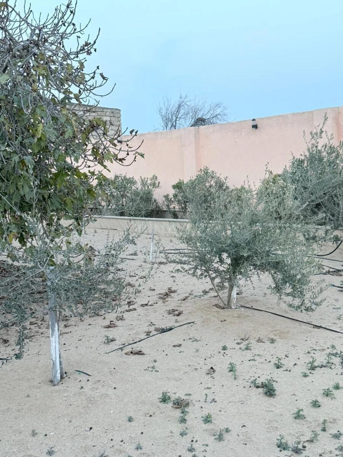 Satılır 4 otaqlı həyət evi 80 m²