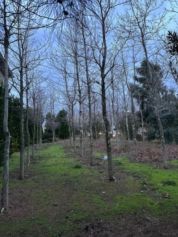 Satılır 6 otaqlı həyət evi 750 m²