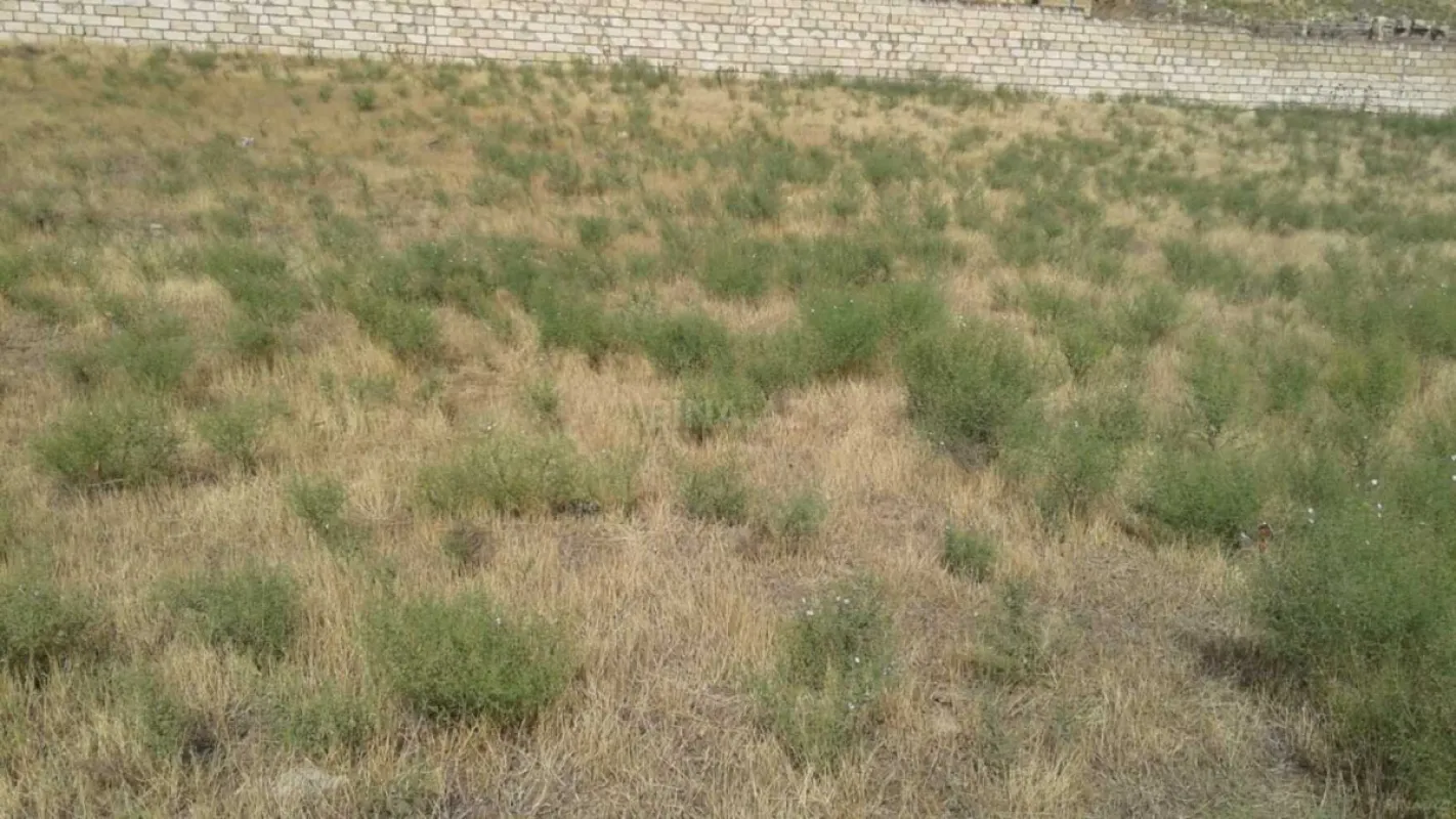 Satılır torpaq sahəsi 12 m²