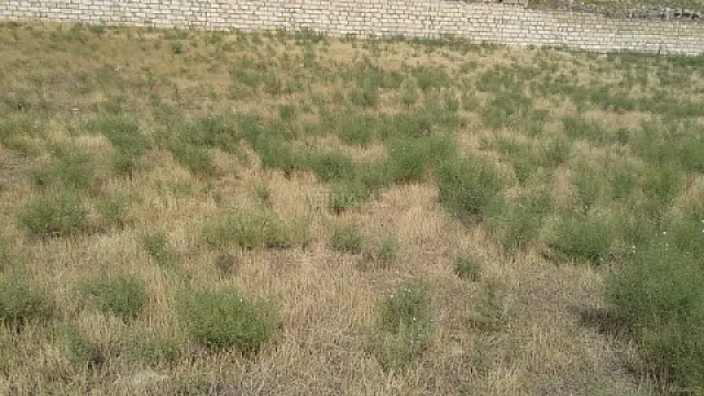 Satılır torpaq sahəsi 12 m²