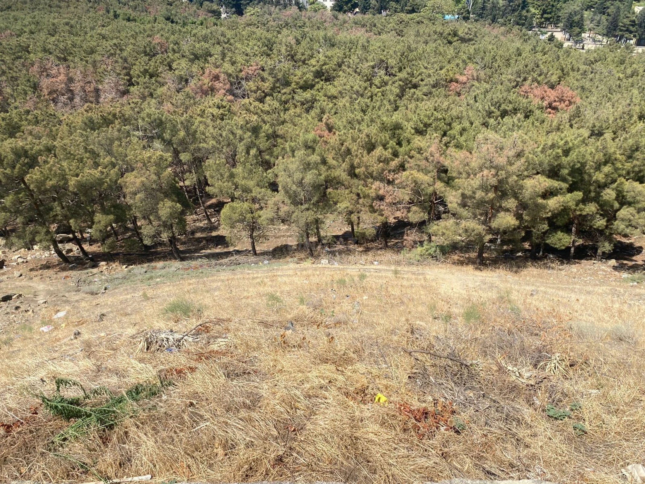 Satılır torpaq sahəsi 6 m²