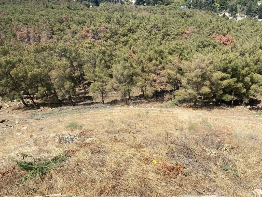 Satılır torpaq sahəsi 6 m²