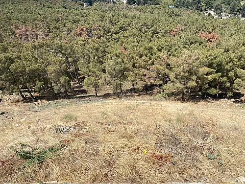 Satılır torpaq sahəsi 6 m²