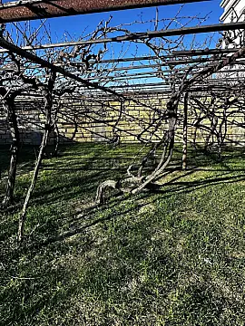 Satılır torpaq sahəsi 2 m²