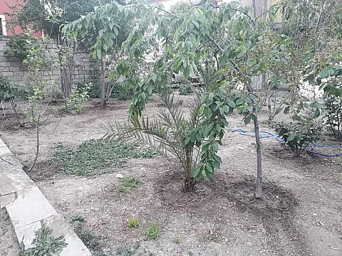 Satılır torpaq sahəsi 4.3 m²