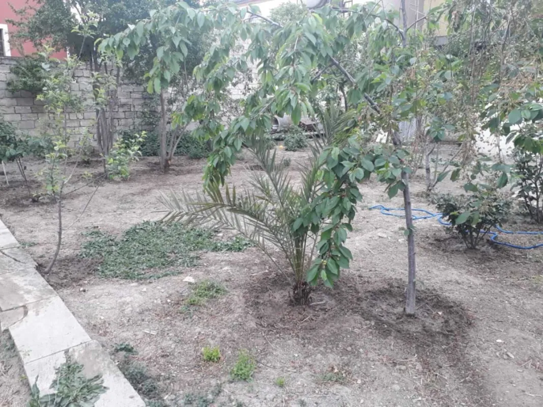 Satılır torpaq sahəsi 6.5 m²