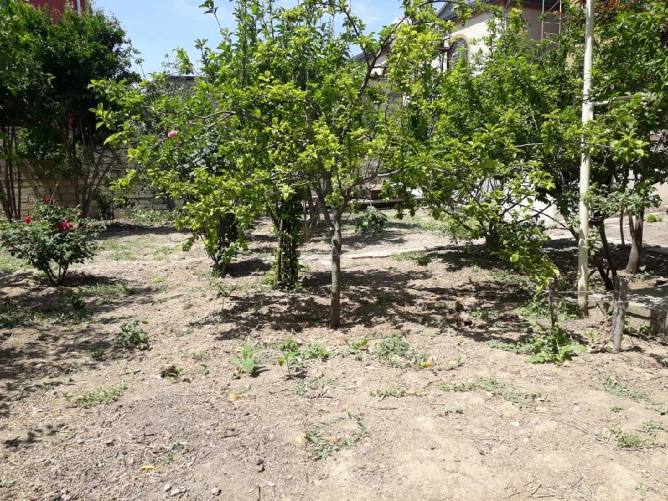 Satılır torpaq sahəsi 6.5 m²