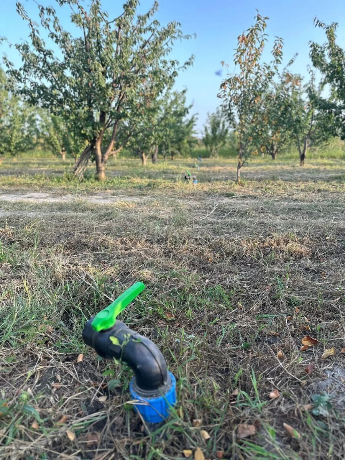 Satılır torpaq sahəsi 200 m²