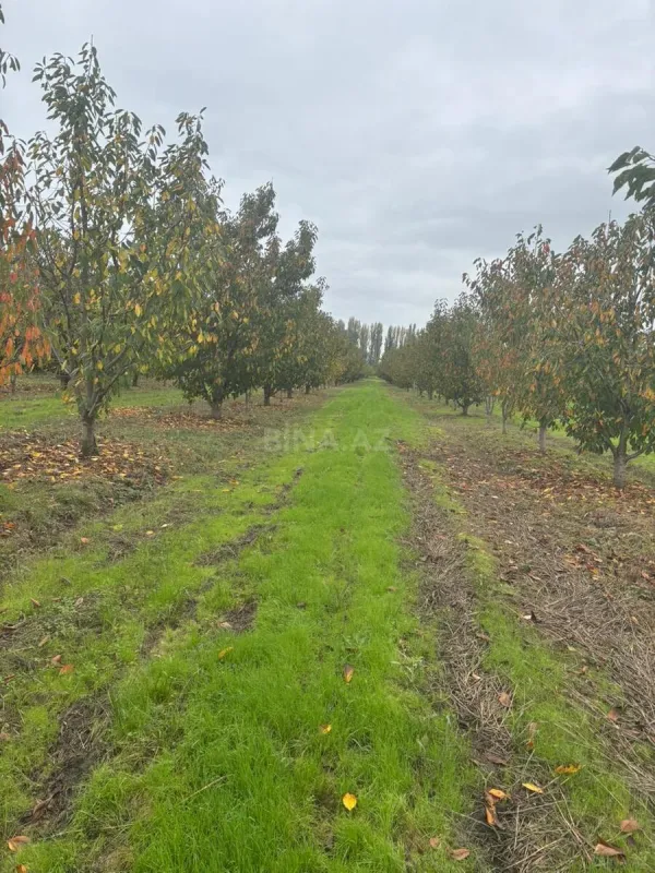 Satılır torpaq sahəsi 200 m²