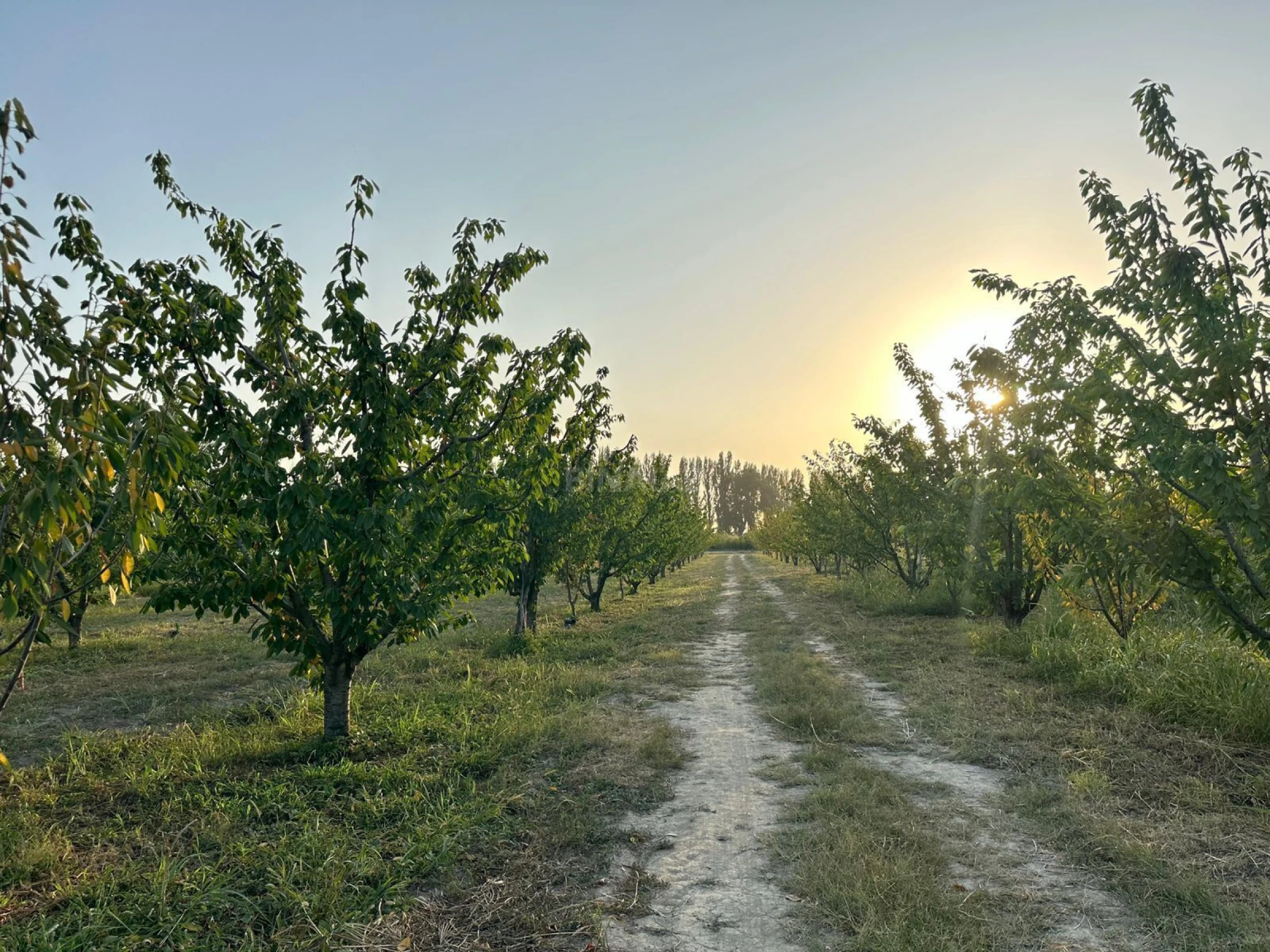 Satılır torpaq sahəsi 200 m²