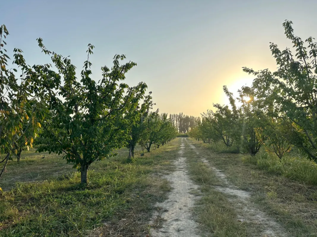 Satılır torpaq sahəsi 200 m²