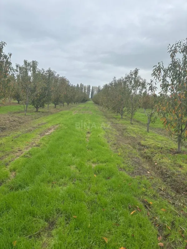 Satılır torpaq sahəsi 200 m²