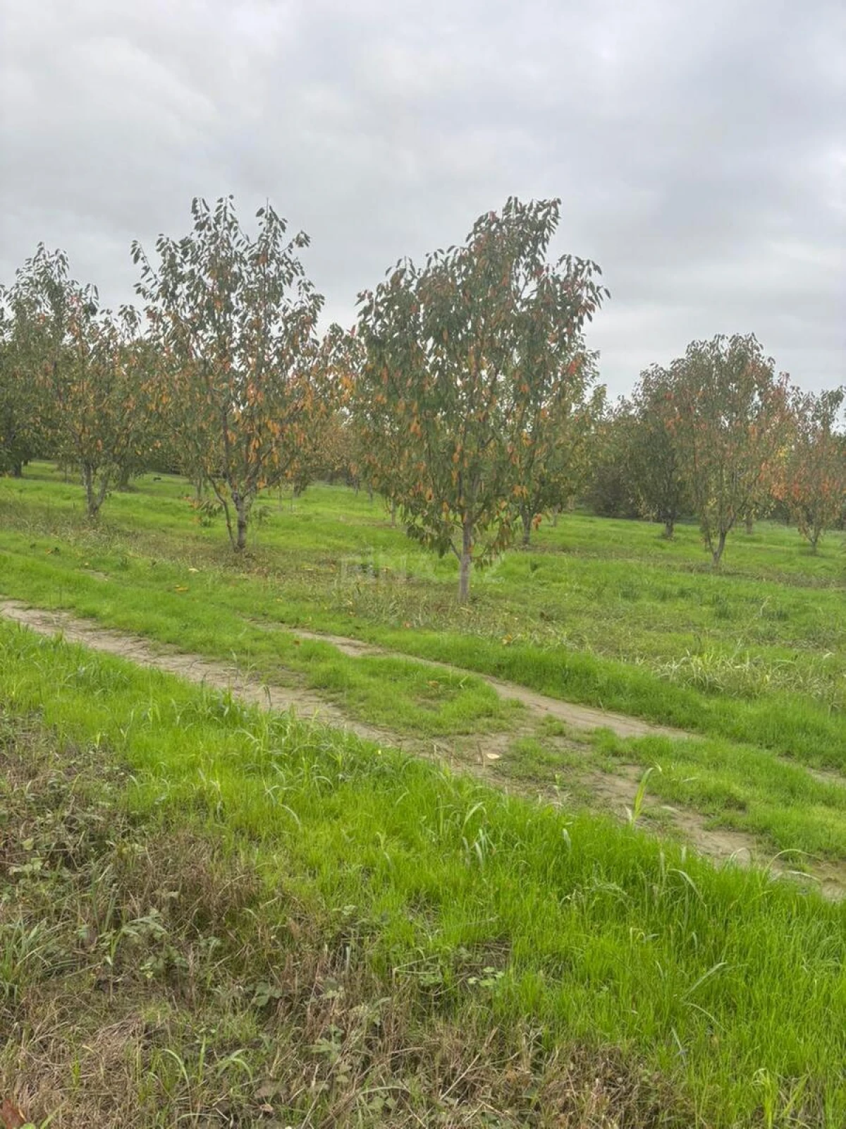 Satılır torpaq sahəsi 200 m²