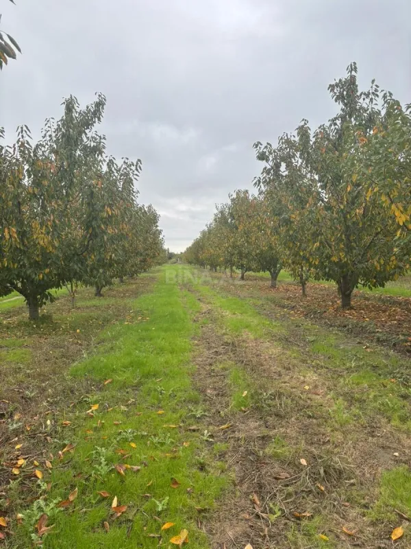 Satılır torpaq sahəsi 200 m²