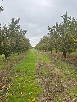 Satılır torpaq sahəsi 200 m²