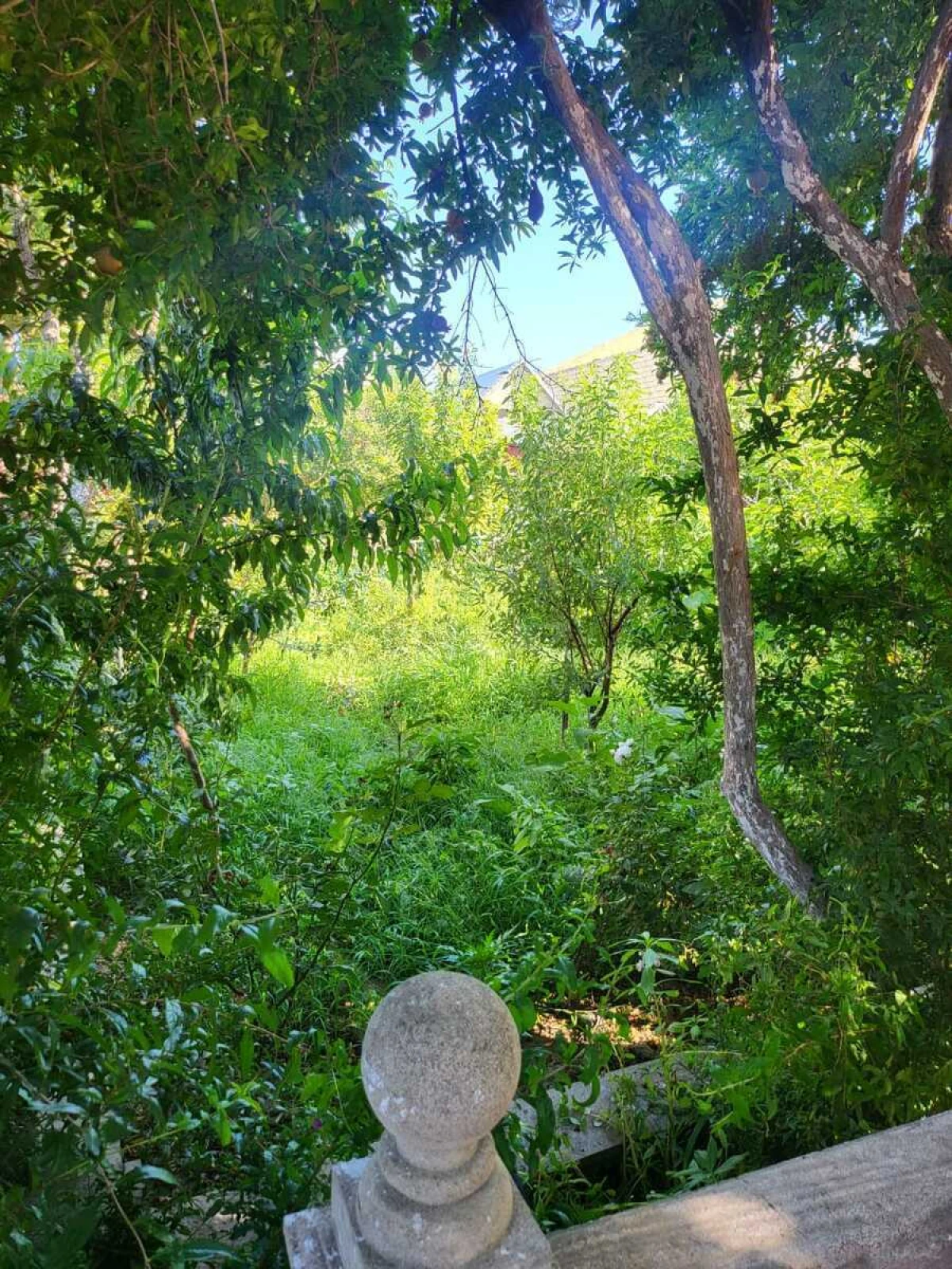 Satılır 11 otaqlı həyət evi 500 m²