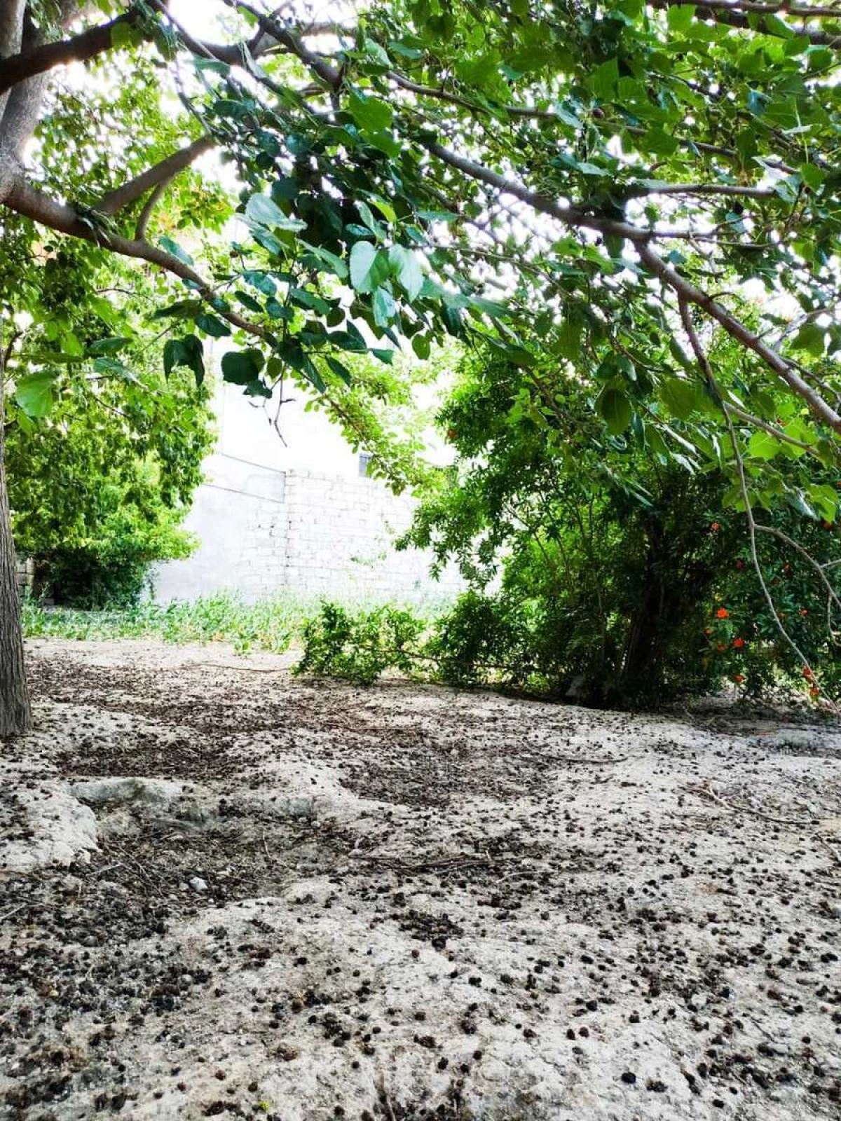 Satılır torpaq sahəsi 12 m²