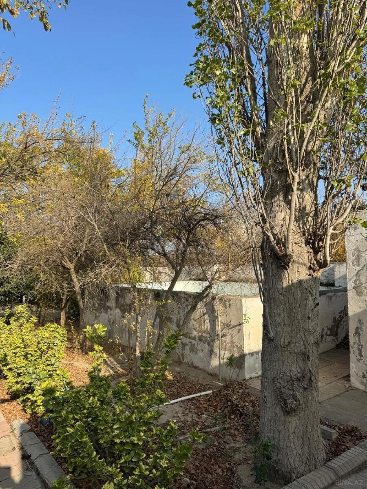 Satılır torpaq sahəsi 33 m²