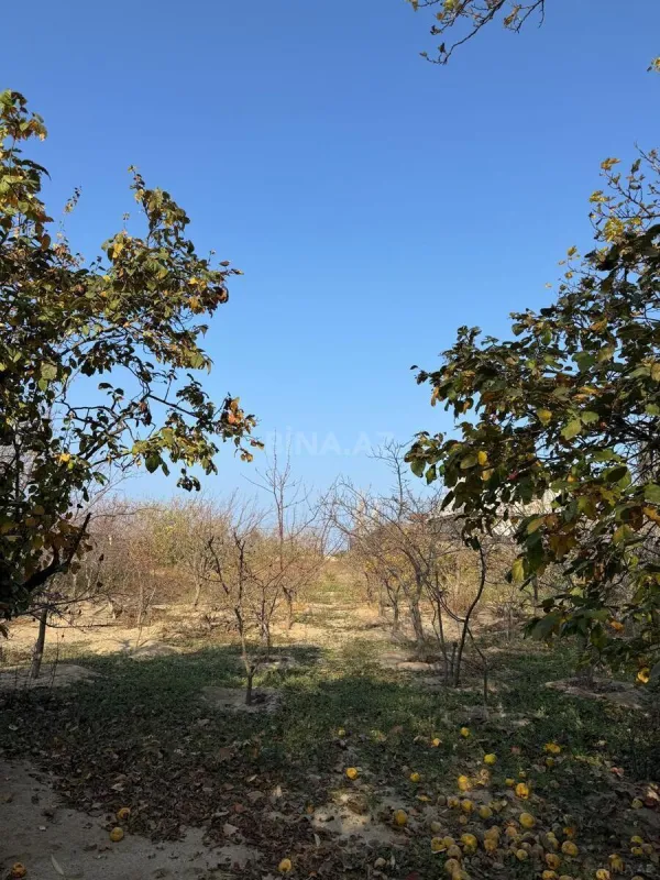 Satılır torpaq sahəsi 33 m²