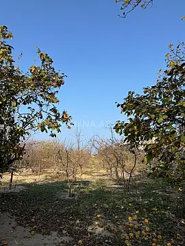 Satılır torpaq sahəsi 33 m²