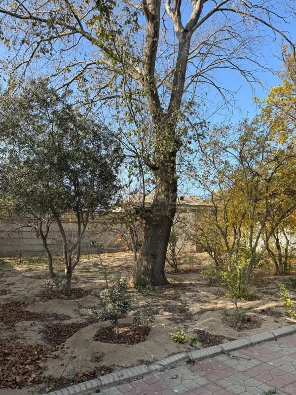 Satılır torpaq sahəsi 33 m²