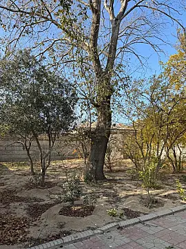 Satılır torpaq sahəsi 33 m²