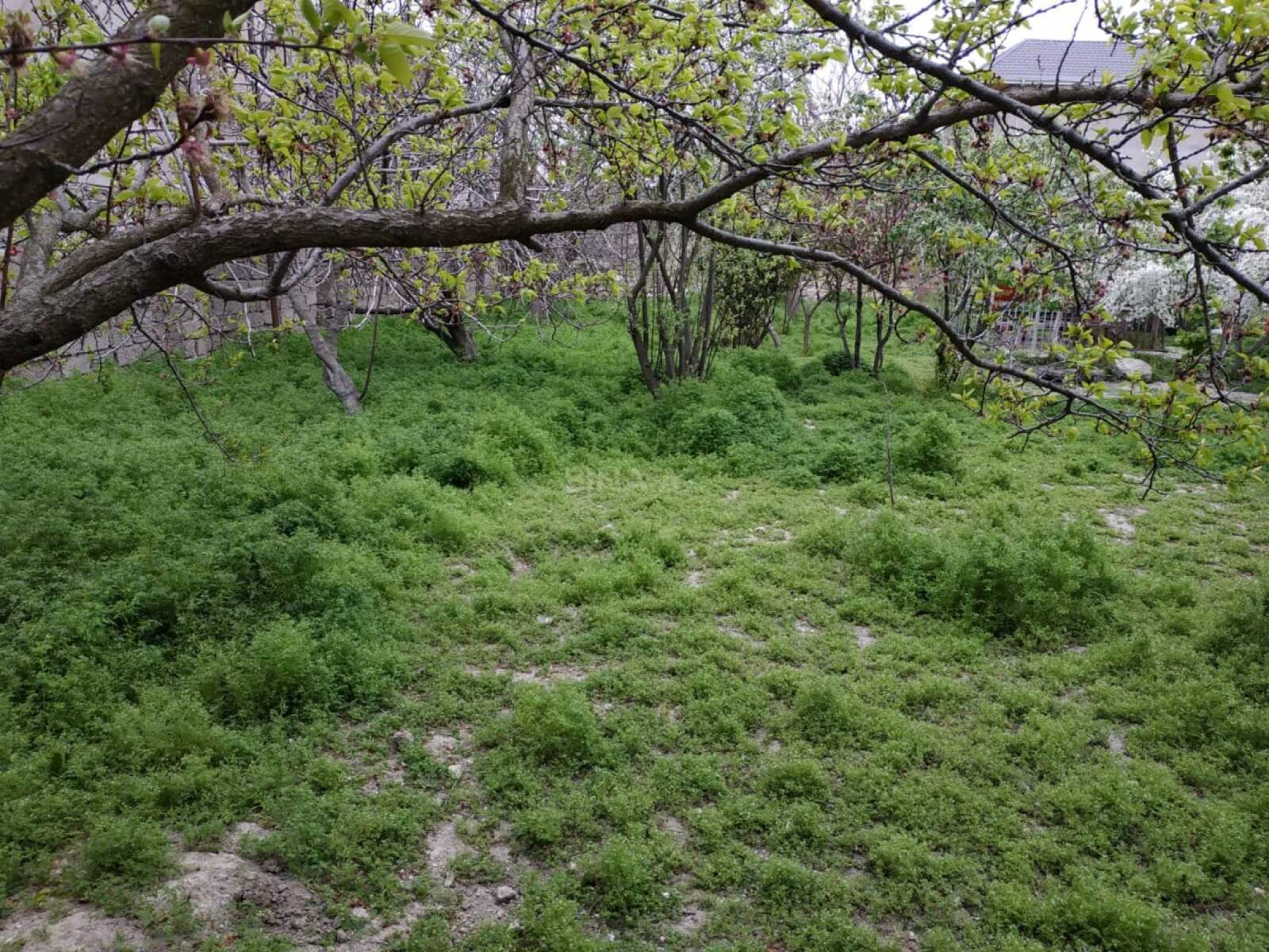 Satılır torpaq sahəsi 15.5 m²