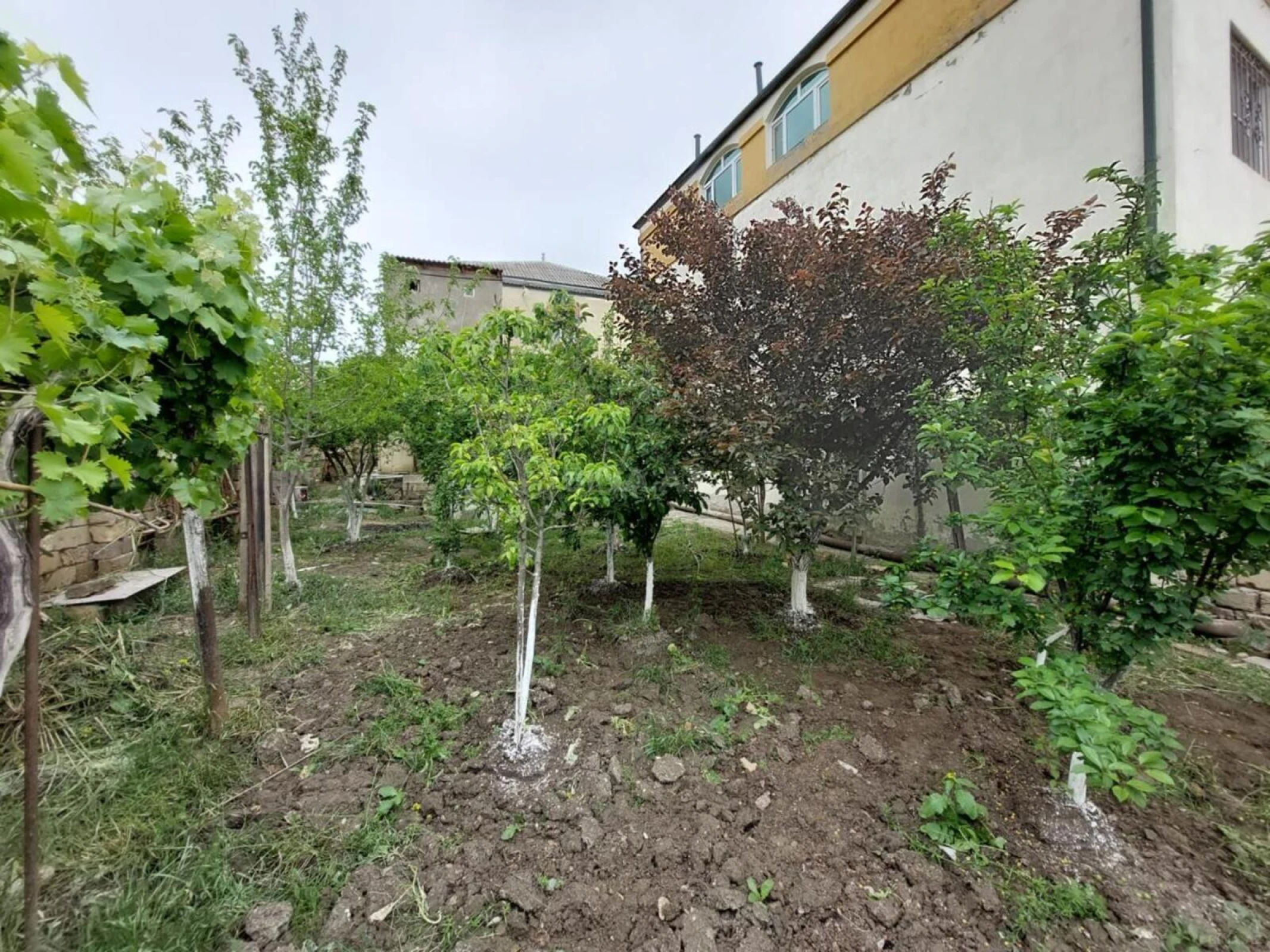 Satılır 7 otaqlı həyət evi 210 m²