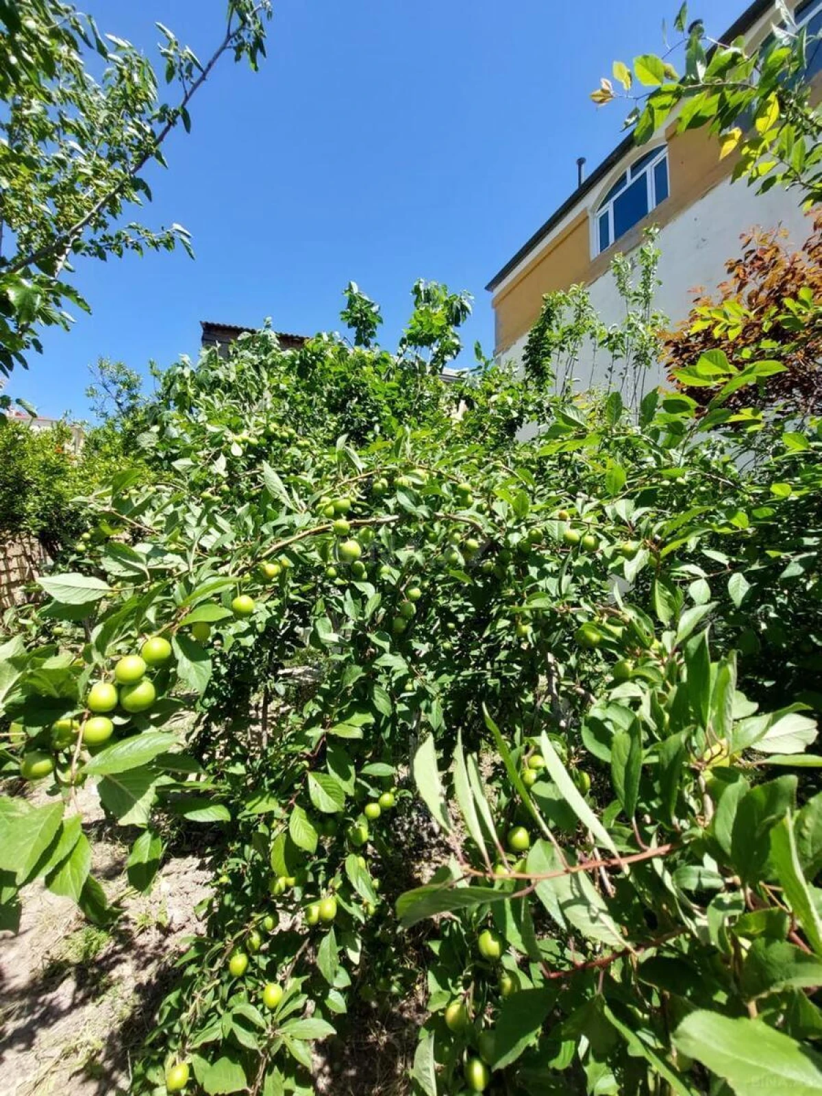 Satılır 7 otaqlı həyət evi 210 m²