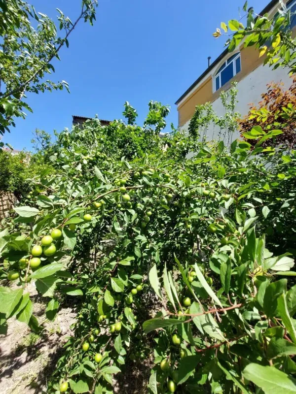 Satılır 7 otaqlı həyət evi 210 m²