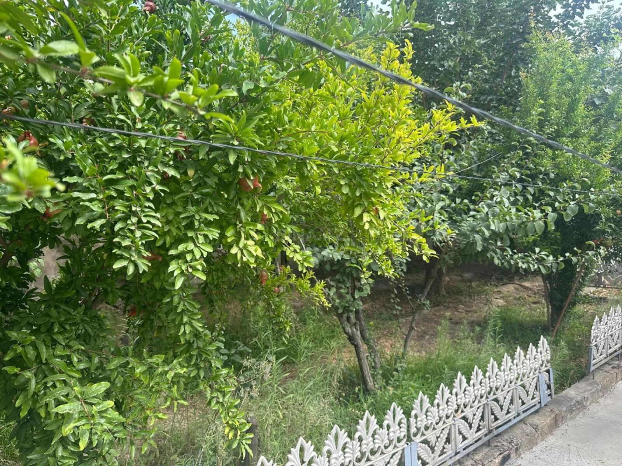 Satılır torpaq sahəsi 9 m²