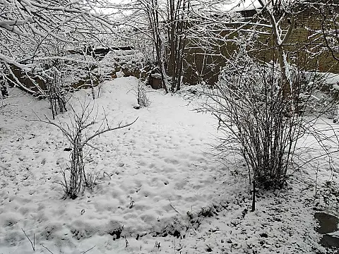 Satılır 3 otaqlı həyət evi 150 m²