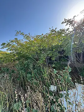 Satılır torpaq sahəsi 73 m²