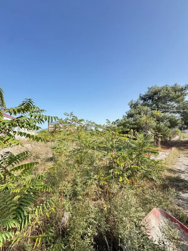 Satılır torpaq sahəsi 73 m²