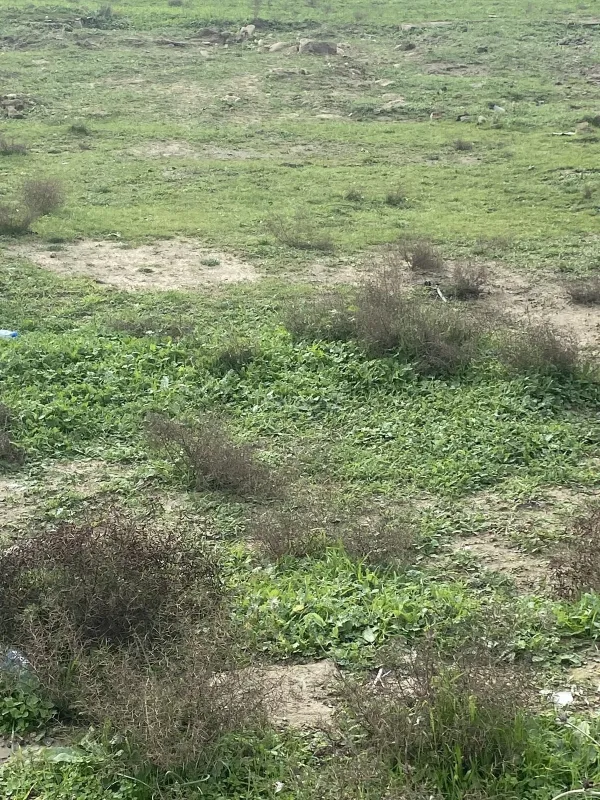 Satılır torpaq sahəsi 5 m²