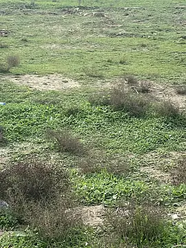 Satılır torpaq sahəsi 5 m²