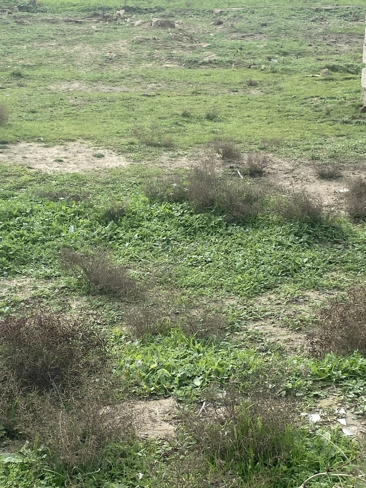 Satılır torpaq sahəsi 5 m²