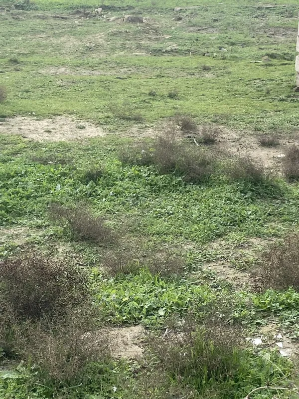 Satılır torpaq sahəsi 5 m²