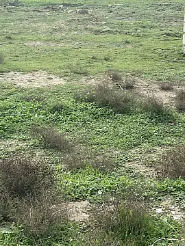 Satılır torpaq sahəsi 5 m²