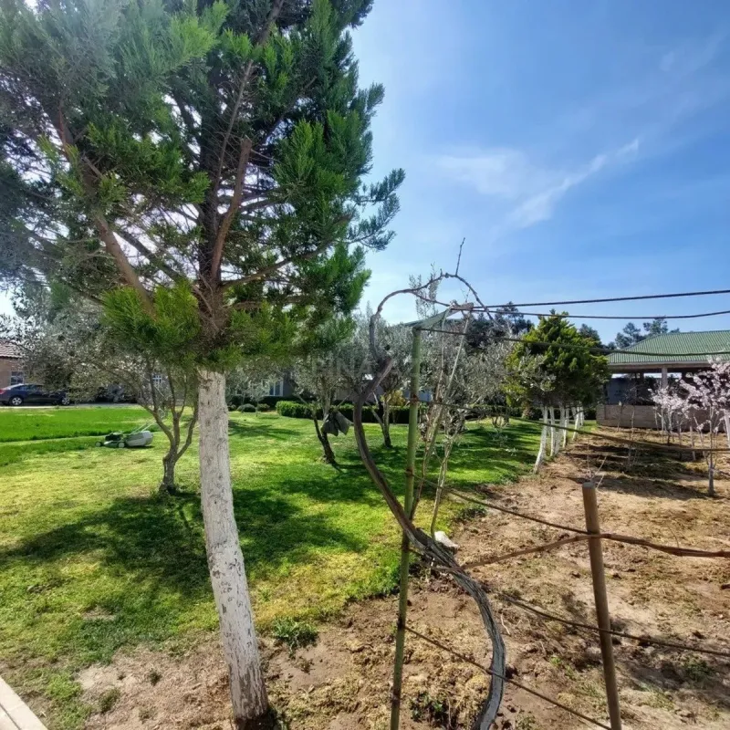 Kirayə verilir 5 otaqlı həyət evi 400 m²