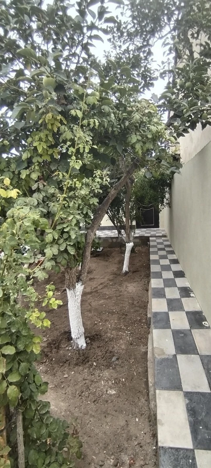 Satılır 2 otaqlı həyət evi 36 m²