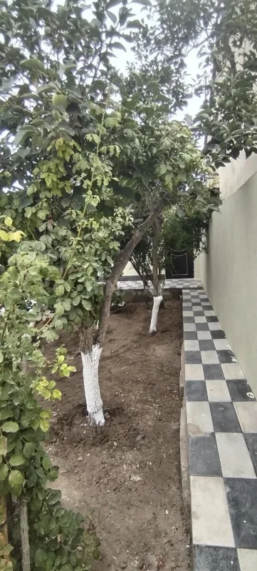 Satılır 2 otaqlı həyət evi 36 m²